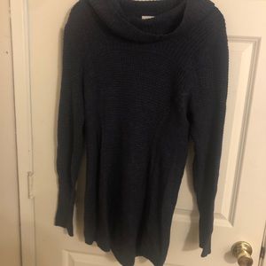 Anthropologie Cowl Neck Sweater